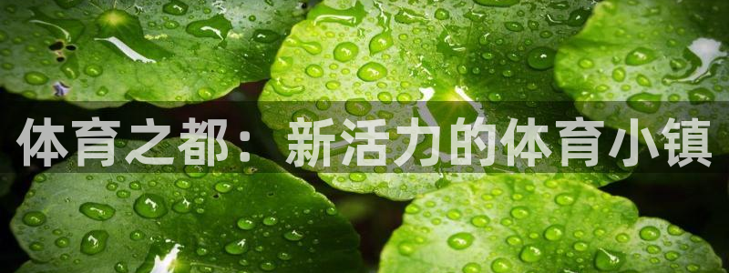 体育之都：新活力的体育小镇