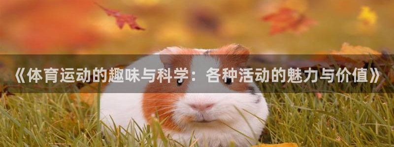 《体育运动的趣味与科学：各种活动的魅力与价值》