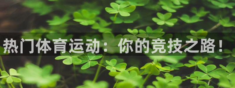 热门体育运动：你的竞技之路！