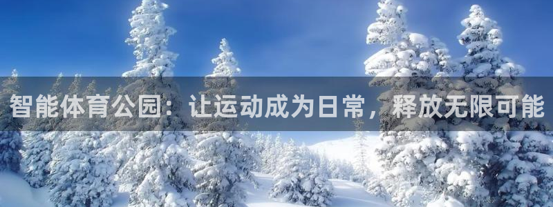智能体育公园：让运动成为日常，释放无限可能