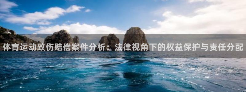体育运动致伤赔偿案件分析：法律视角下的权益保护与责任分配