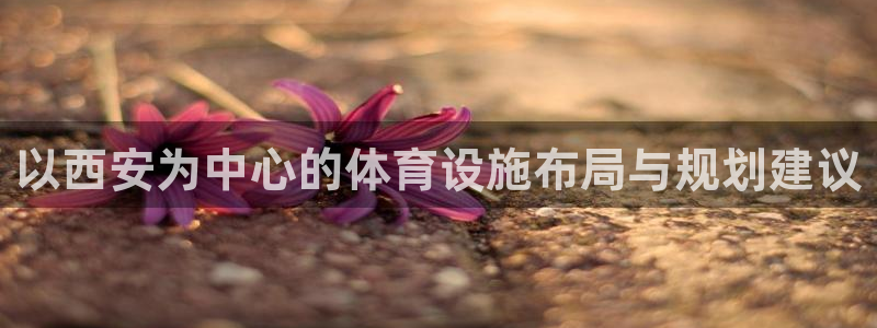 以西安为中心的体育设施布局与规划建议
