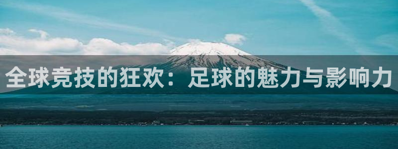 全球竞技的狂欢：足球的魅力与影响力