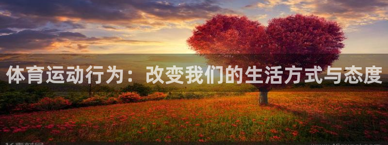 体育运动行为：改变我们的生活方式与态度