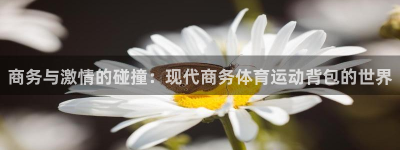 商务与激情的碰撞：现代商务体育运动背包的世界