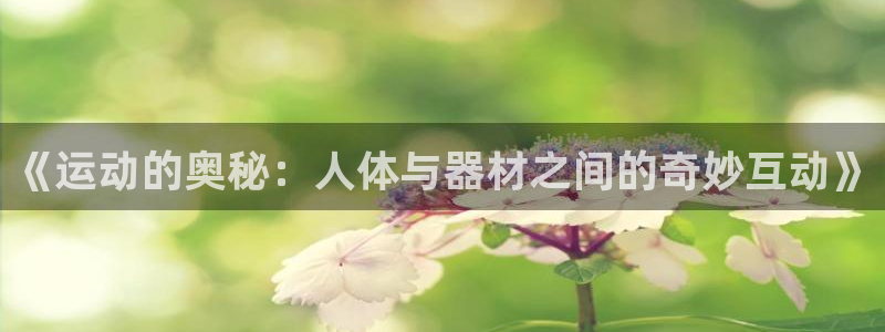 《运动的奥秘：人体与器材之间的奇妙互动》