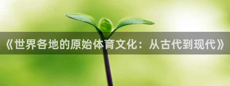 《世界各地的原始体育文化：从古代到现代》