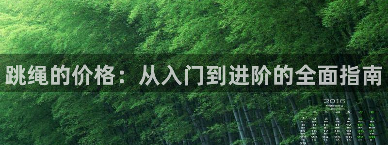 跳绳的价格：从入门到进阶的全面指南