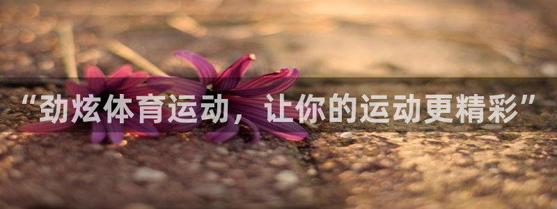 “劲炫体育运动，让你的运动更精彩”