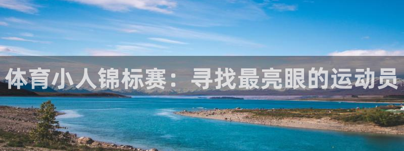 体育小人锦标赛：寻找最亮眼的运动员