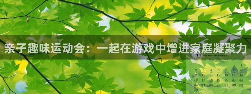 亲子趣味运动会：一起在游戏中增进家庭凝聚力