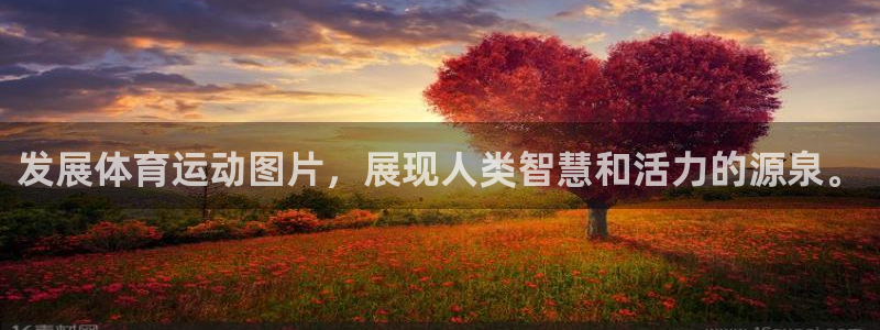 发展体育运动图片，展现人类智慧和活力的源泉。