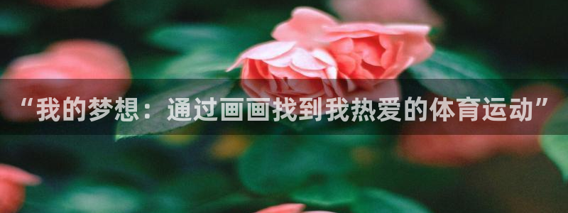“我的梦想：通过画画找到我热爱的体育运动”