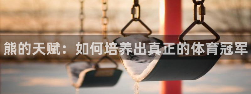 熊的天赋：如何培养出真正的体育冠军