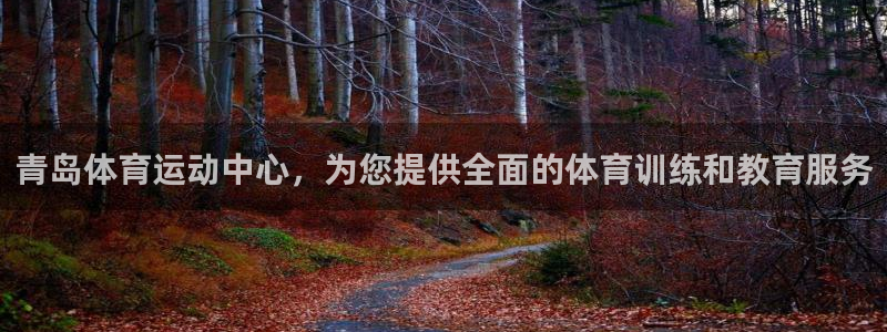 青岛体育运动中心，为您提供全面的体育训练和教育服务