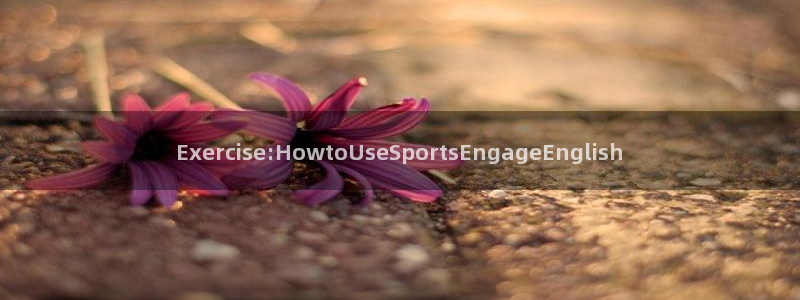 Exercise:HowtoUseSportsEngageEnglish