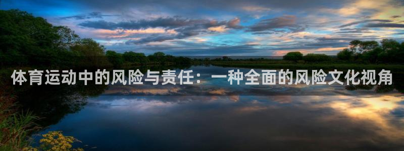 体育运动中的风险与责任：一种全面的风险文化视角