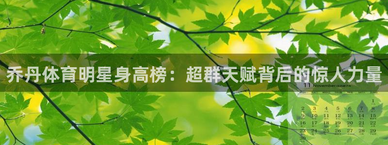 乔丹体育明星身高榜：超群天赋背后的惊人力量