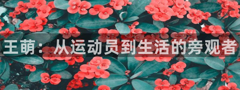 王萌：从运动员到生活的旁观者