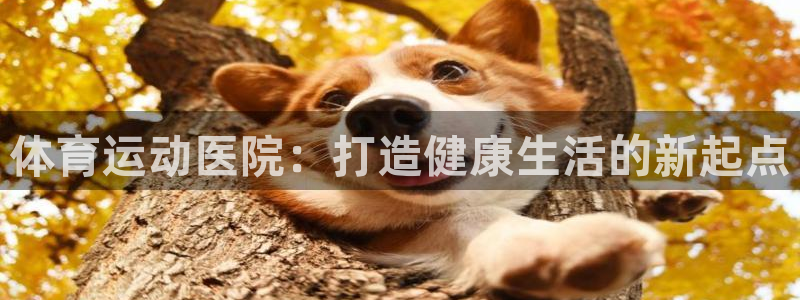 体育运动医院：打造健康生活的新起点